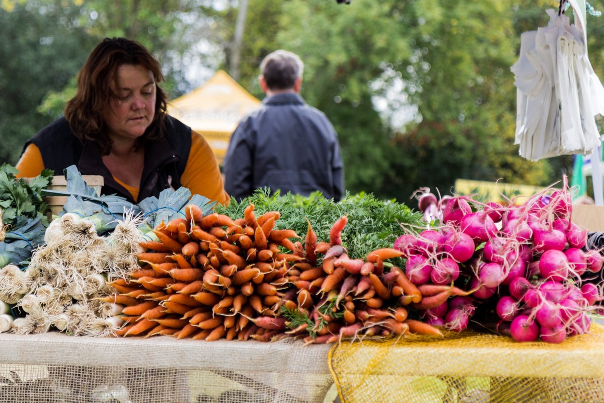 Celebrate #LocalFoodWeek and visit local farms that have markets in #KingTownship! You can find several of these farms by viewing the new 2023 <a href="/YorkFarmFresh/">York Farm Fresh</a> guide map at  yorkfarmfresh.com!

#ExperienceKING #ExperienceYR #VisitYDH #localfood #farmersmarket #YorkFarmFresh