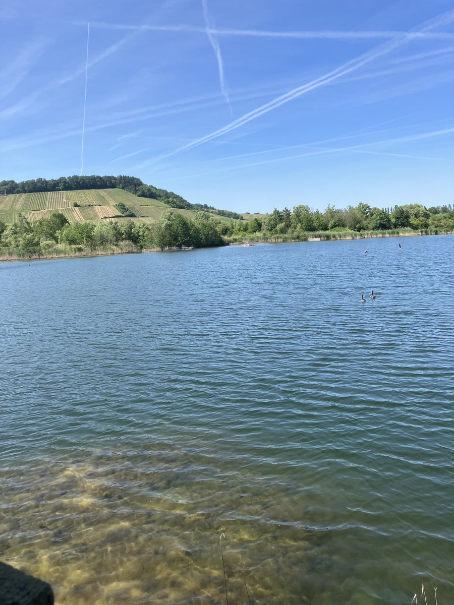 julesmrobertsf1's tweet photo. #Remerschen #naturereserve https://t.co/5Qvh5yujmN