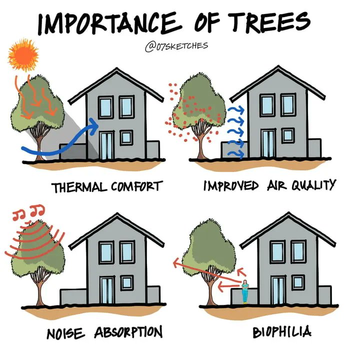 alvinfoo's tweet photo. This is why we should plant more trees. https://t.co/9jCAFfTY8F