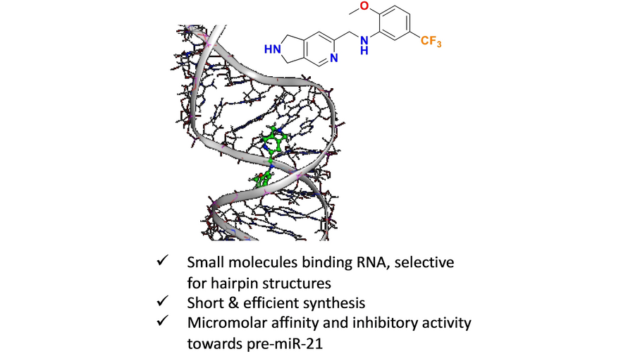 ChemEurJ's tweet photo. A RNA-focused library targeted against the production of the oncogenic microRNA-21 was designed and synthesized. @NiceChemistry @MariaDuca_CNRS @VMichelet06 #OpenAccess https://t.co/AuPZEy1rp9 https://t.co/Z8tPRYIxrC