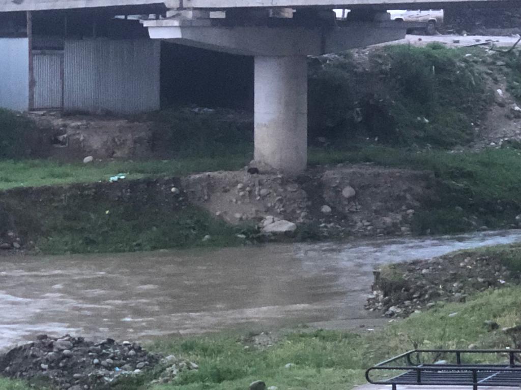 rtimuzaffar's tweet photo. Illegal Riverbed Mining leads to Soil Erosion. This causes Disasters. See the condition of the Chadoora Bridge Main Pillar. It can Collapse anytime. Wake up, conduct safety audits. Stop illegal Mining 
@#Save Doodh Ganga Campaign
@diprjk @DC_Budgam @AtharAamirKhan https://t.co/dRklGP1EIm