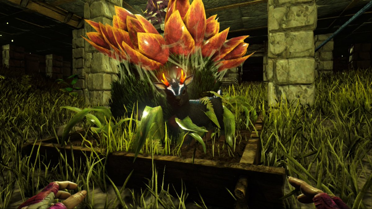 buttons21181's tweet photo. This hs bn my bkgrnd since a week after ab opened, hw lng ago was tht?#PlayArk #PS4share @survivetheark @Ps4Ark https://t.co/w08oZLPuzT