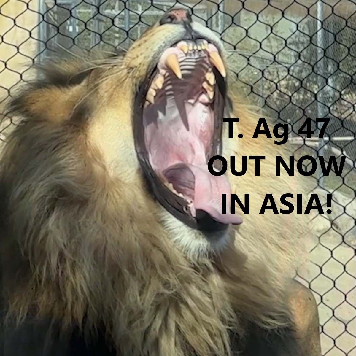 a_myren's tweet image. 🍾🥂🥳💫✨T. Ag 47 is out now in Asia 💫✨
li.sten.to/amyren
#NewMusic2023 #Spotify #AppleMusic #Japan