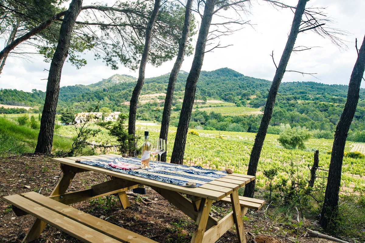 Envie d'une escapade éducative ? Découvrez nos Rendez-vous Terroirs !
Le Clos de Caveau est un vignoble de 15 hectares cultivé en bio depuis 1980 et certifié depuis 1989. 

Découvrez plus sur
vins-rhone-tourisme.fr/caveaux-de-ven…