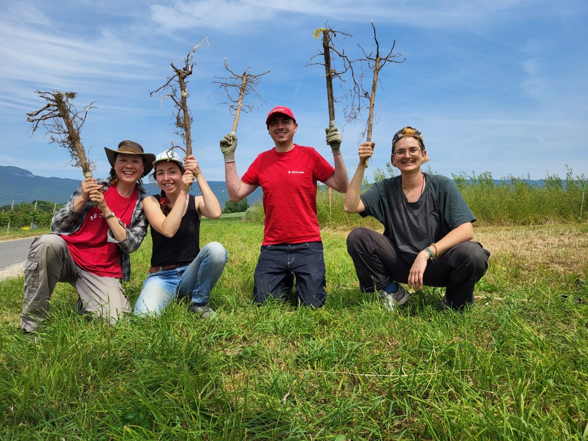 SwissSoil's tweet photo. First year of cropping cereals at the ROCSUB site and the effect of a compacted subsoil on the plant growth becomes visible! #ROCSUB @JOHANNESAlice1
https://t.co/bOxfp7GQLr https://t.co/X3mIFHDC5E