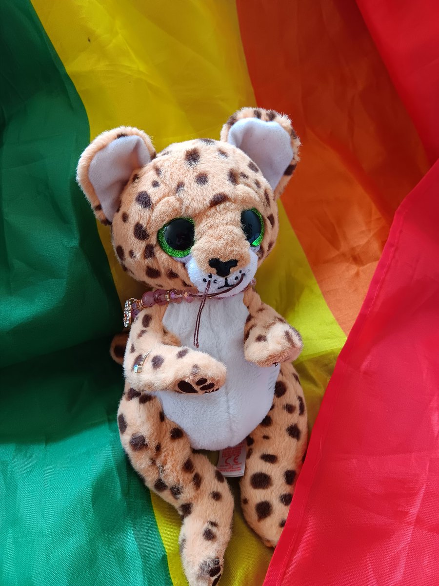 LloydLeopard's tweet photo. Happy Pride month!!!!!🌈 #PrideMonth https://t.co/PeIFUUjtJO