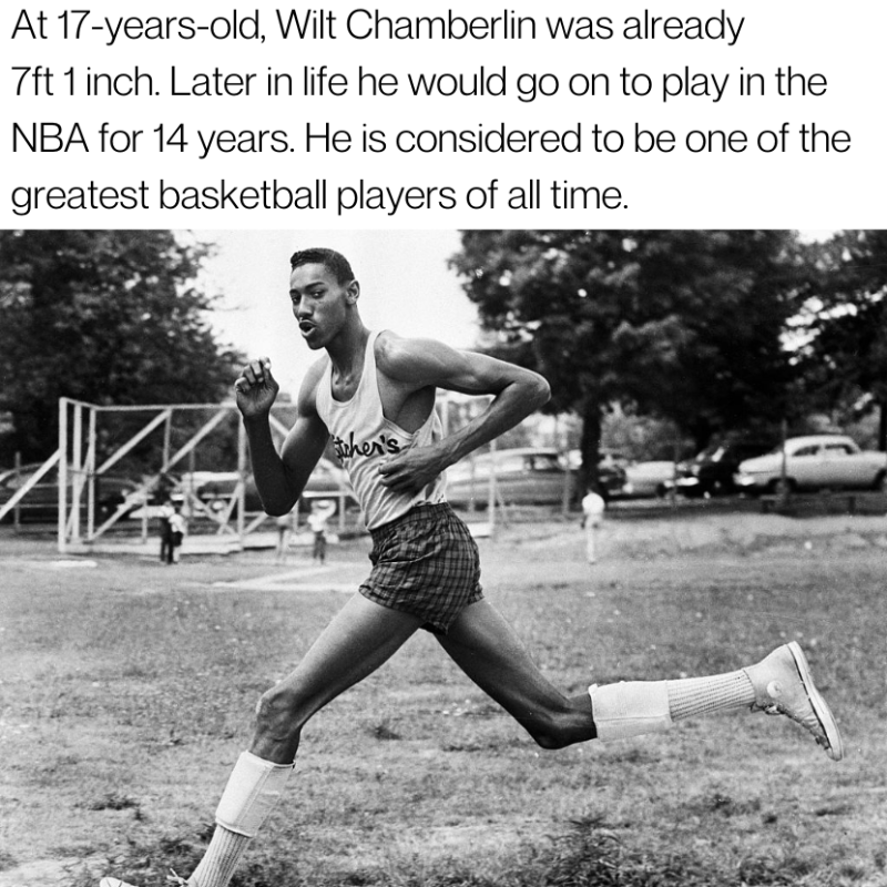 Factable tweet media