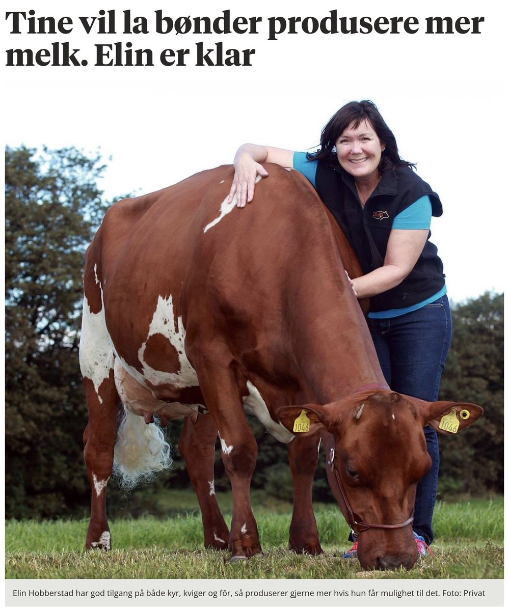 Bent Myrdahl tweet media