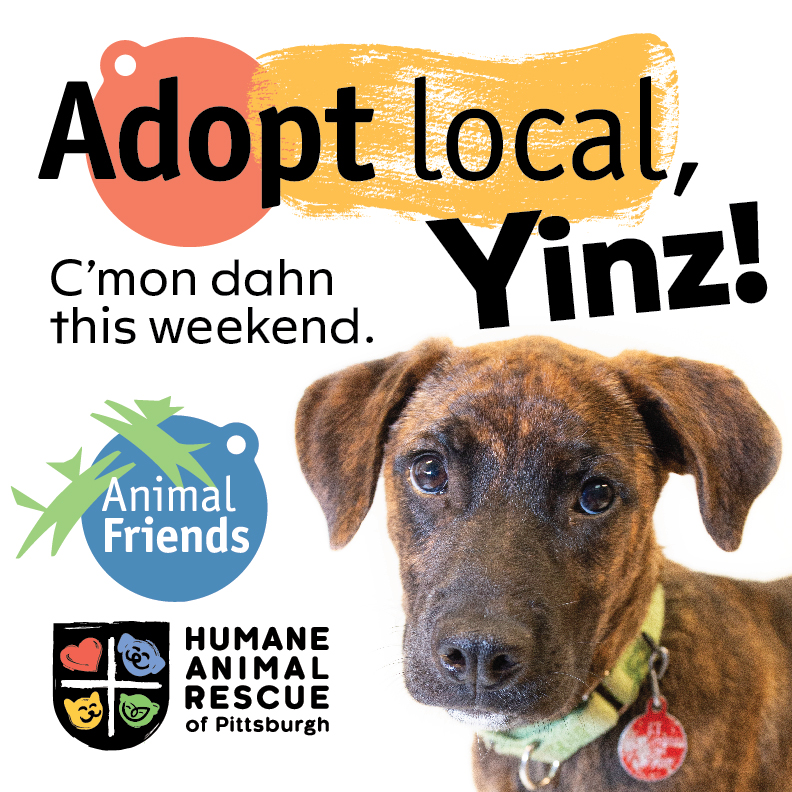 Animal_Friends's tweet image. Hey Yinz, kick off your summer at Animal Friends and @HARPSavesLives this weekend! There are so many wonderful pets looking for homes and we want you to #AdoptLocal. This weekend only adoption fees are waived for our adult residents (ages 6 mos. or older). We hope you’ll join us!