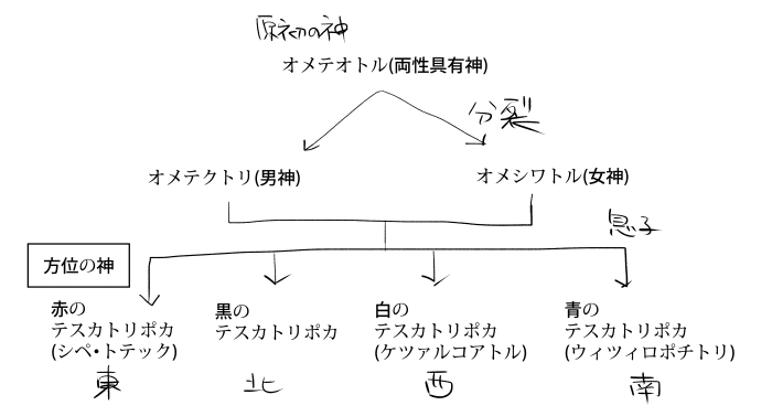 増え方が基本分裂……?(トリポカんちの家系図)