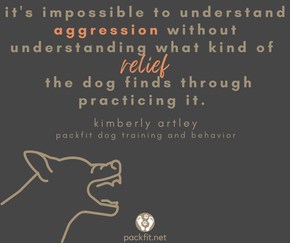 Packfit1's tweet image. #aggressiontraining #aggression #dogaggression #dogbehaviortraining #dogbehavior #DogBehaviorModification #BehavioralTraining #caninebehavior #canineaggression #dogtrainingadvice #dogtraining #dogtrainingtips #dogtraining101 #themoreyouknow