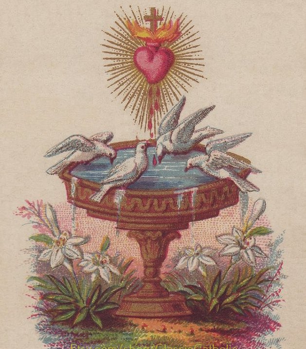 HarrisonGarlic1's tweet photo. June is dedicated to the Sacred Heart of Jesus.

It is only in that Heart that we will find happiness. It is only in that Heart we will find our rest. It is in that Heart that we understand what it means to be human and to be made in the image of our God.

June is for humility. https://t.co/5eEBSkhdi3
