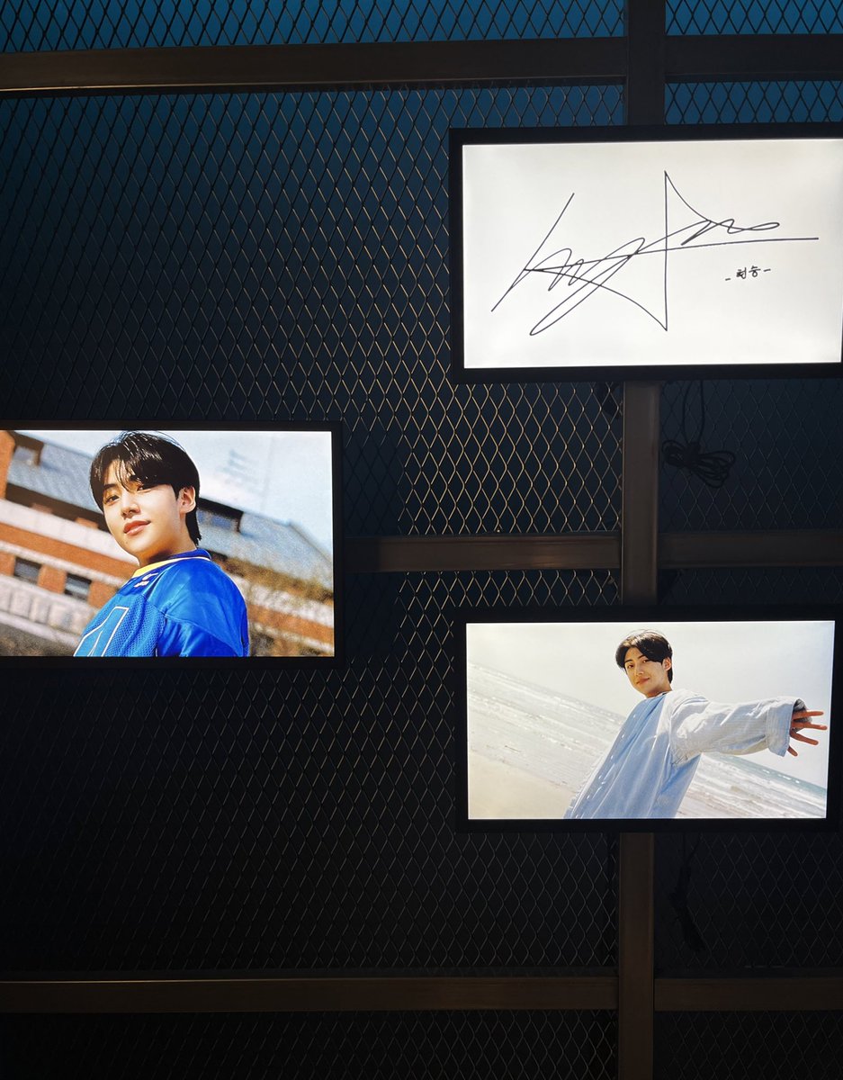 필터 tweet media