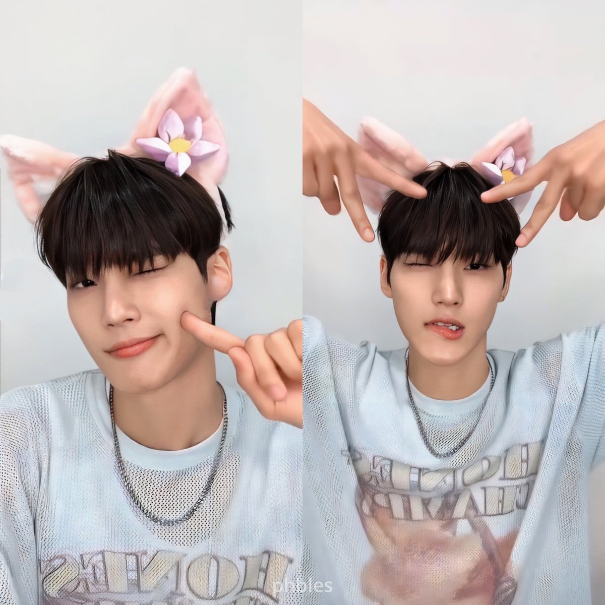 phbles's tweet image. #박한빈 — my forever love. 💙