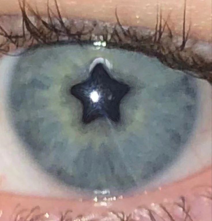 life is life tweet media