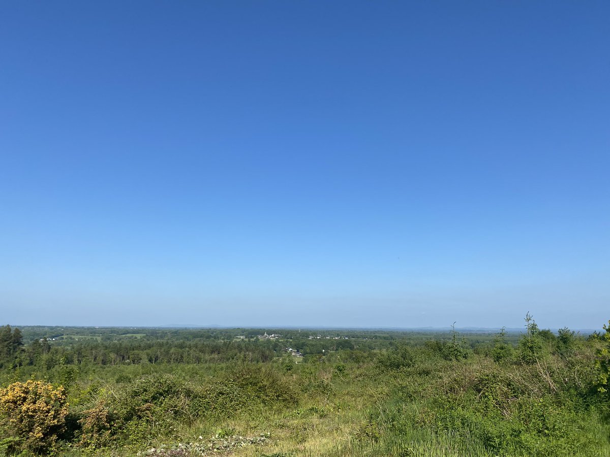 arkhamavengers's tweet image. Final editing is underway after #TheHost decided to go for a stroll.  GW 37 &amp;amp; 38 will be out later today.  #arkhamavengers #ThePanel #FPL #FPLCommunity