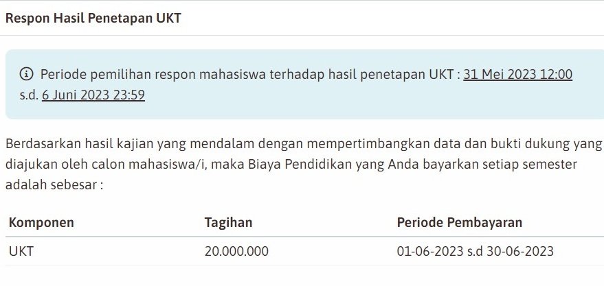 dinvousea's tweet photo. siapa yang dari kemaren kerjaannya nangisin ukt ui dapet yg tertinggi ((aku)) 😞 https://t.co/468ef63RgH