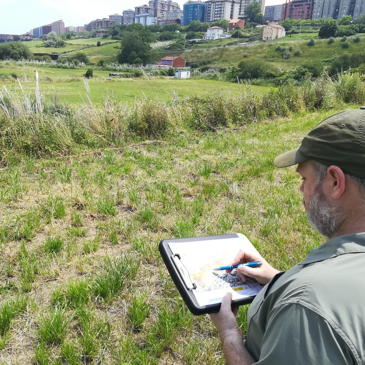 SDRnatural's tweet photo. 🟢Seguimos con la planificación de los trabajos de restauración de espacios degradados de #Santander incluidos en #SDRnatural
🔍Sobre el terreno valoramos y comprobamos donde se encuentran las #EEI, sobre todo #plumeros, y la mejor manera de eliminarlas y de restaurar el suelo https://t.co/lM138Lzh1Y