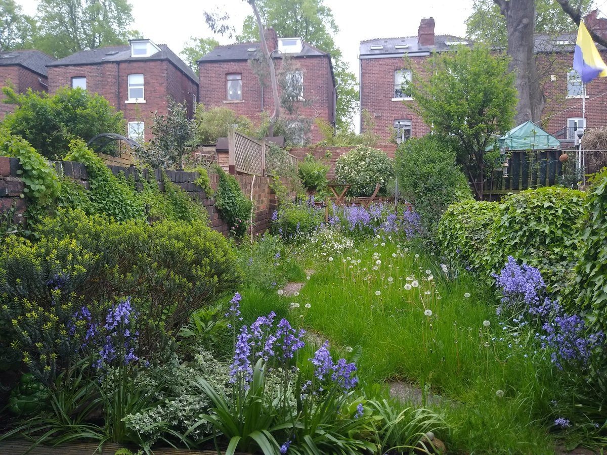 Plantlife on Twitter "We have seen some amazing green spaces from