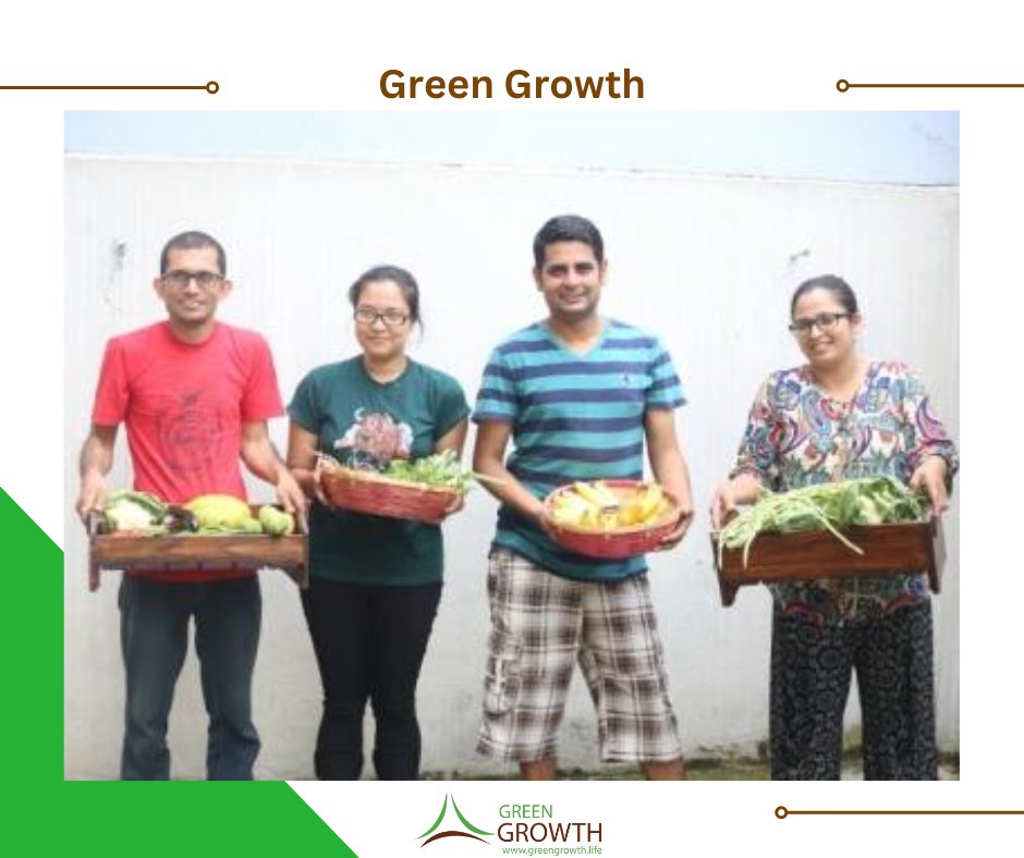 ✅ We at green growth has variety of daily usage locally manufactured products.

🌐 Visit our website and place order on any of our product.
greengrowth.life

#Local #GreenGrowth #Nepal #SustainablePractices #ChemicalFreeProducts
