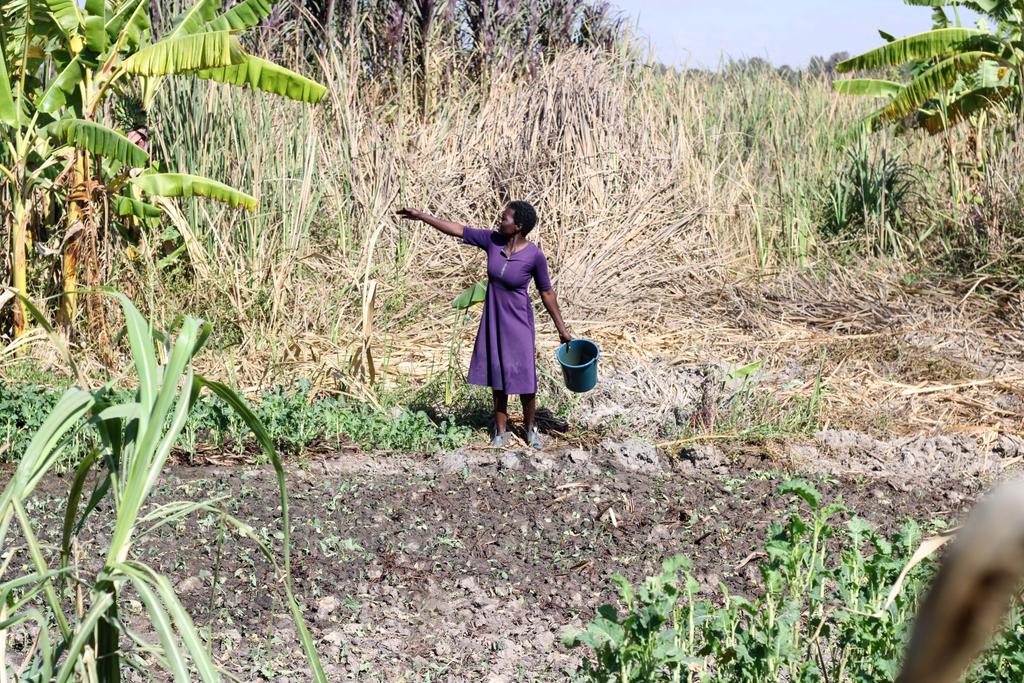 The Environmentalist tweet media