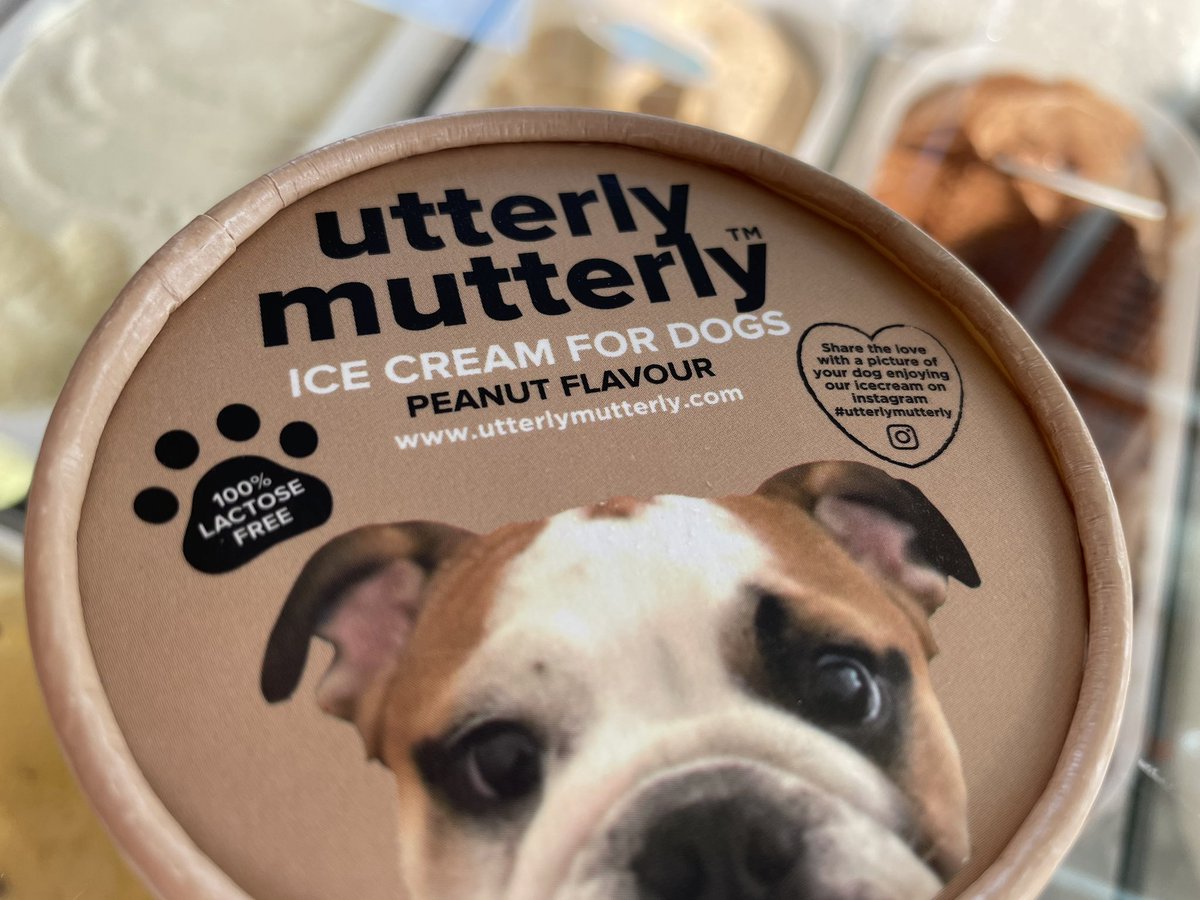 memobeachpt tweet media