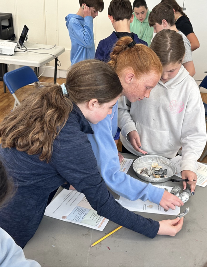 Science Engineering Education Development (SEED) tweet media