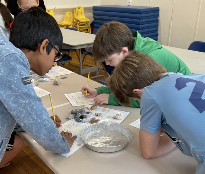 Science Engineering Education Development (SEED) tweet media