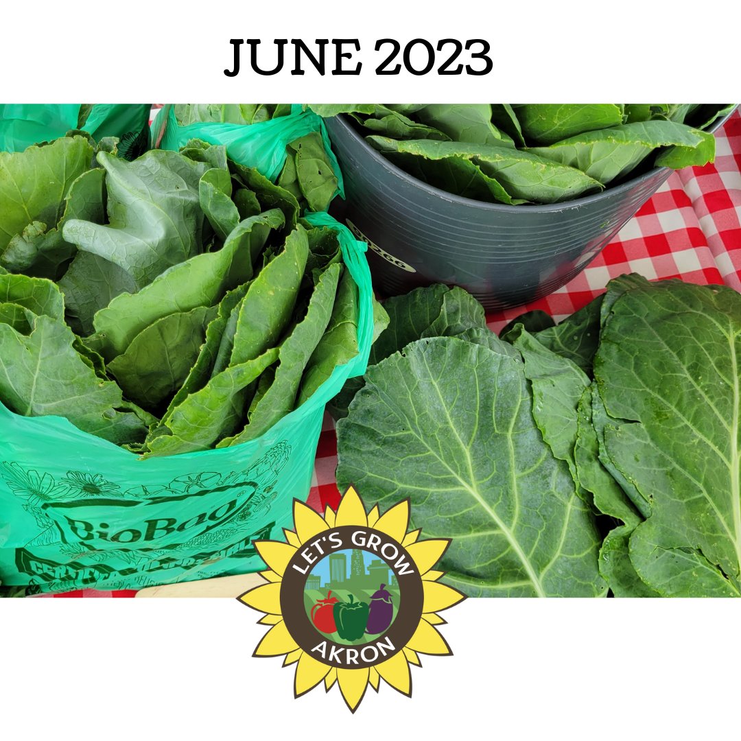 🌻June Programs, Events &amp; Farmers Market Info🌻 - mailchi.mp/5255030cea12/j…