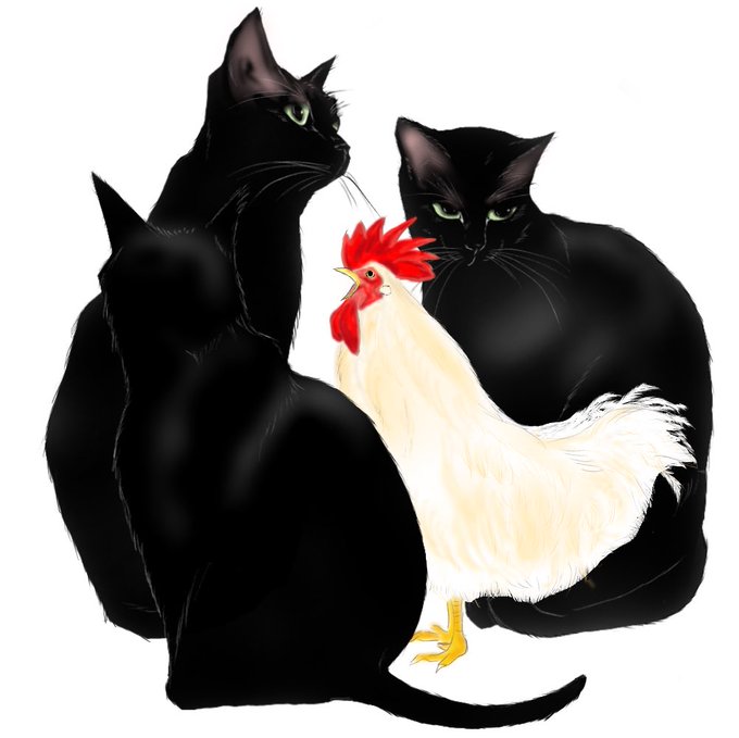 「chicken sitting」 illustration images(Latest)