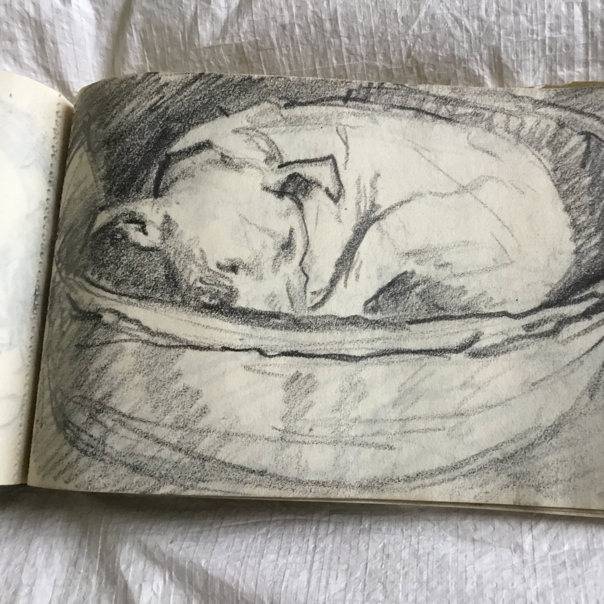 Opening next week! Drawing Standen | The history of the house lovingly captured in sketches of family life 🖉  bit.ly/standen-whats-…

Explore the power of the pencil in the creation of #Standen as a stunning Arts &amp; Crafts family home. 

Opens: 6 June 📷Standen Archive