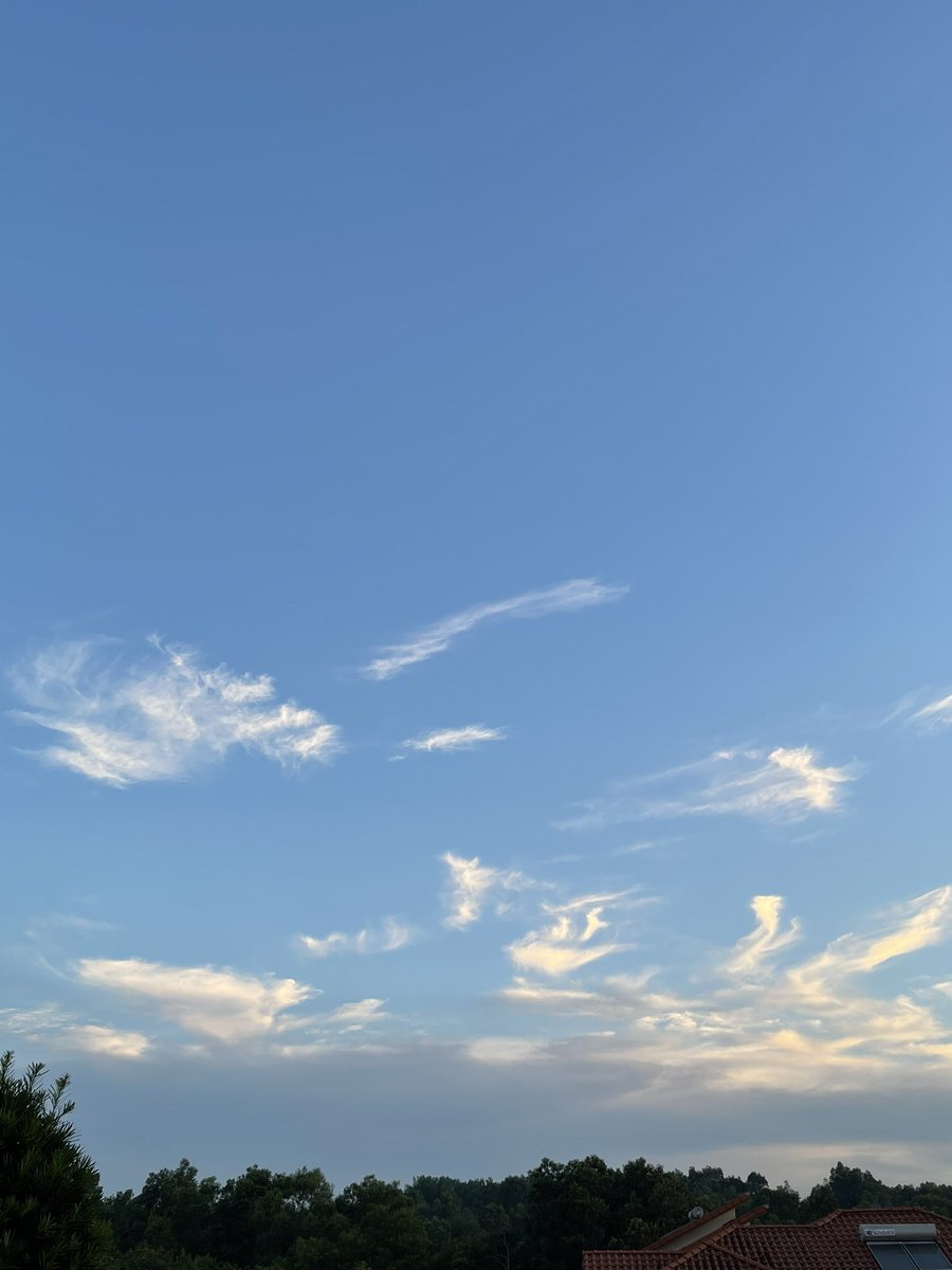 Charlotteterter's tweet photo. 记录 https://t.co/aK4GryrFT0