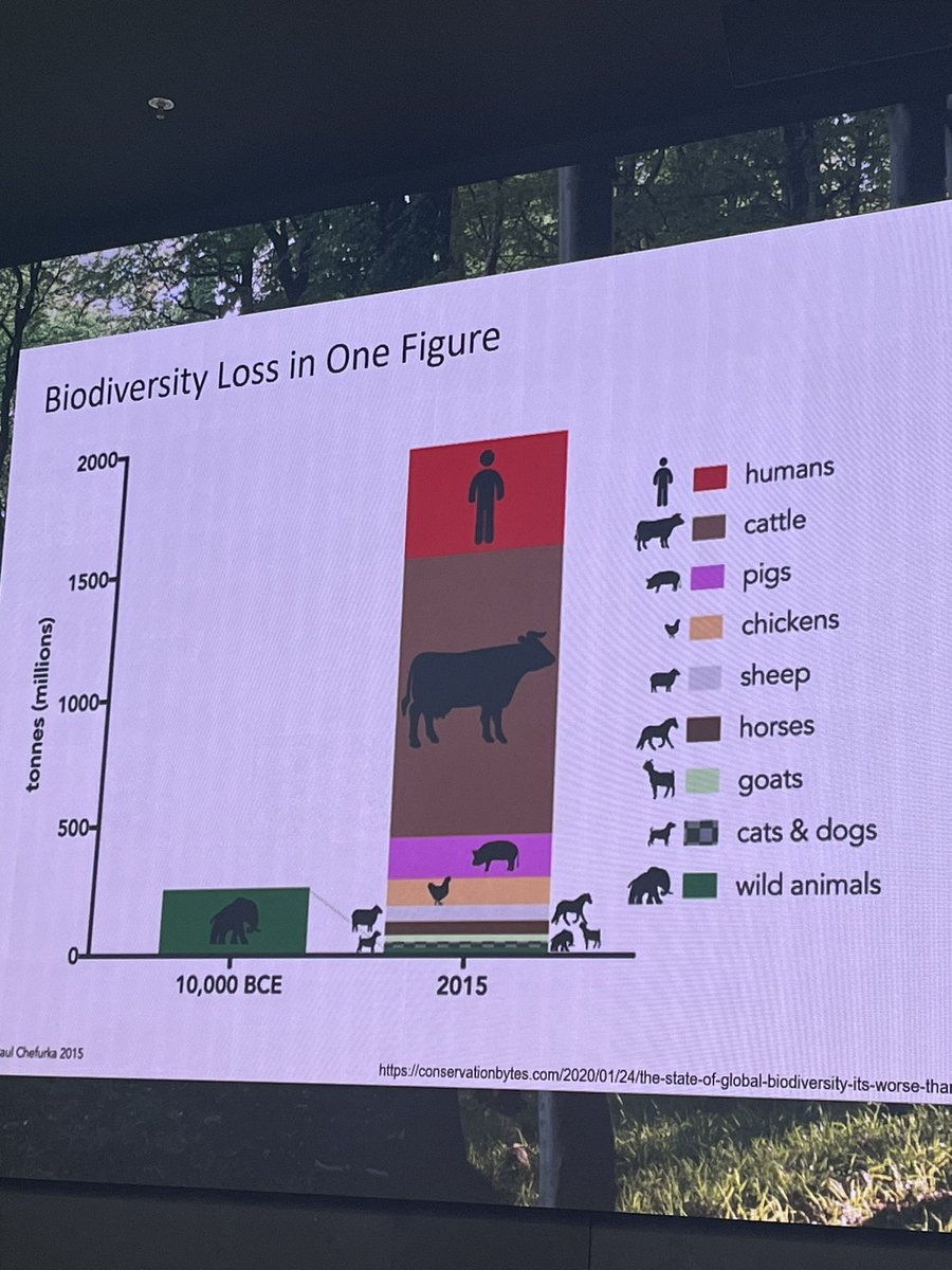 Määrällisesti eläinten määrä maapallolla on kasvanut, mutta luonnossa elävien yksiköiden määrä on romahtanut, ja vastaa nyt kissojen ja koirien määrää, kertoo prof. Lassi Linnanen <a href="/ramboll_fi/">Ramboll Finland</a> #WCEF2023 #accelerator