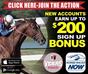 $WNRS - Kenny McPeek, CEO of HRN, stated, “Horse Races Now is excited about this latest update and agreement with Winners and NPD. The latest version of Horse Races Now gives horse racing fans in states where ADW wagering is legal a way to bet on and watch horse racing.”