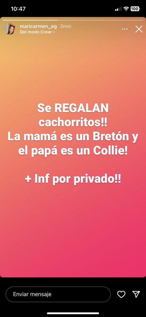 Se regalan cachorritos. Gente responsable🙏🏽 los padres son muy inteligentes😊😍 #difusion# porfa# 🫶🏽