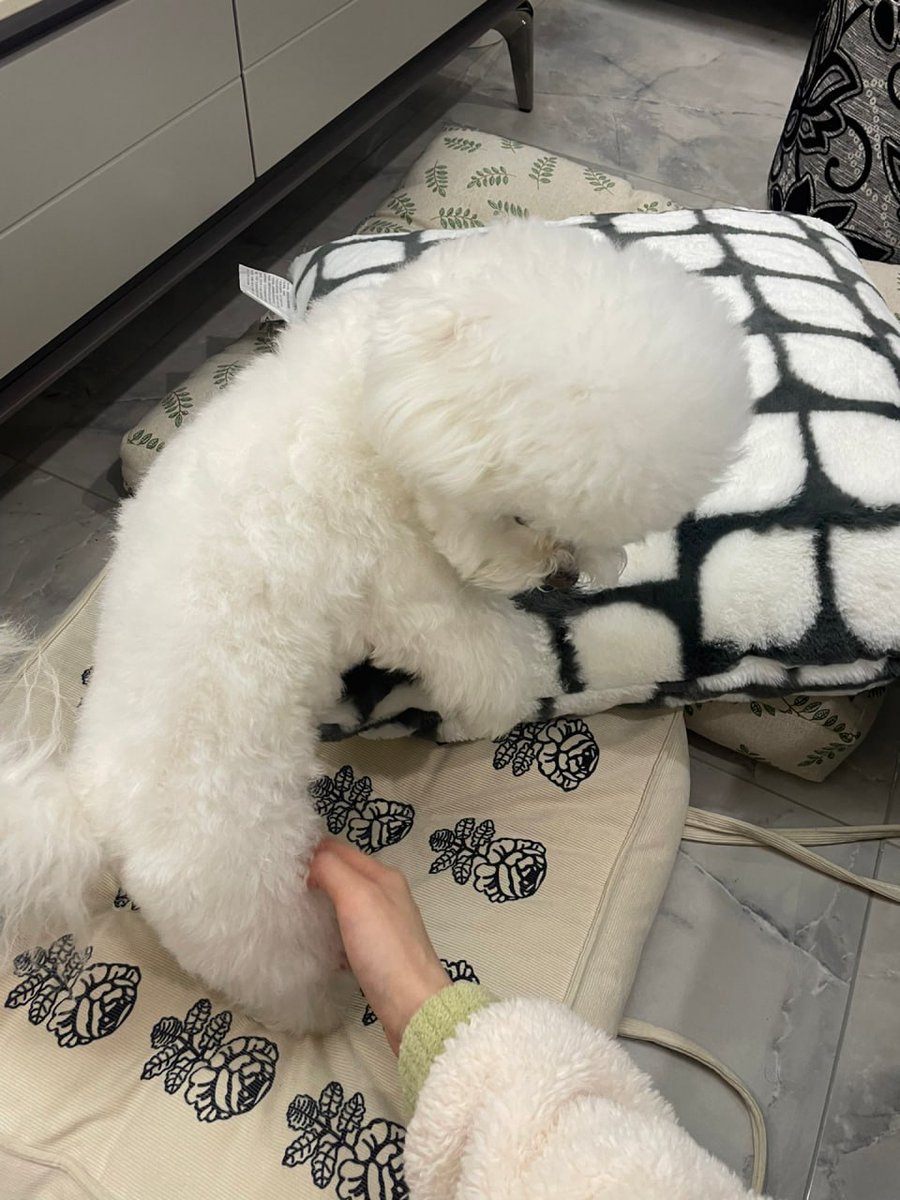 inezpu3's tweet image. Baby, happy June 1