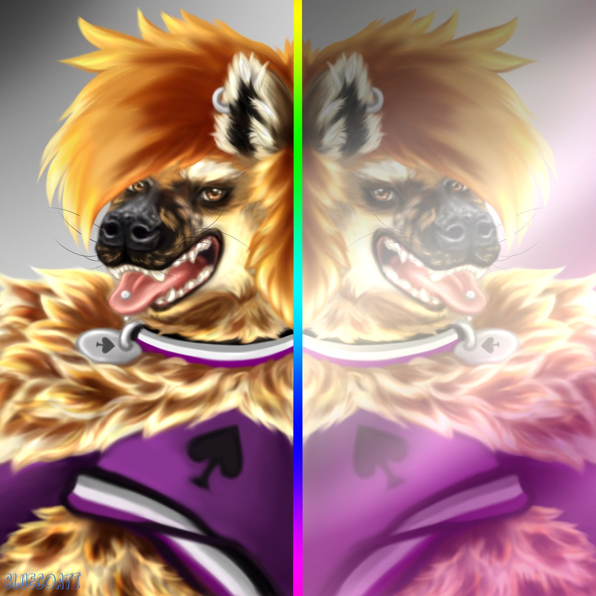 BlueCoati's tweet photo. Happy pride month! I had been wanting to do something for pride month, I finally got around to doing it.
Feliz mes del orgullo a todos!!#PrideMonth #furryartwork #furry #ace https://t.co/oryJtCto3G