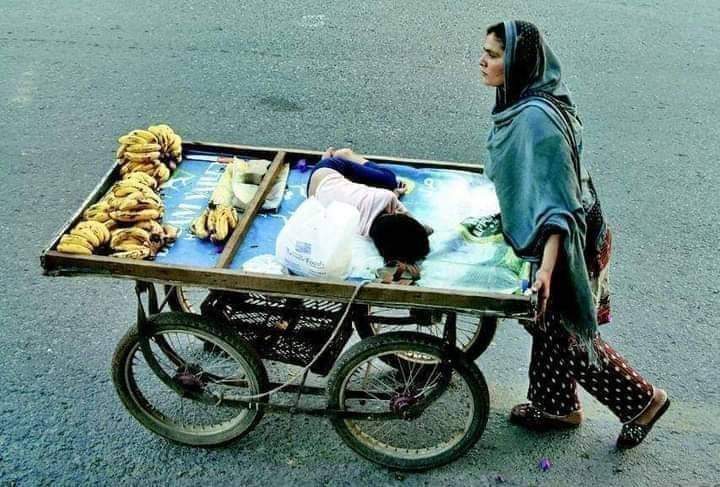 SaadganjB's tweet photo. سرکاری خرچ پر روٹیاں کھانے اور کتے پالنے والوں کو کیا پتہ غربت کیا ہوتی ہے! https://t.co/kmSJrRoVKe