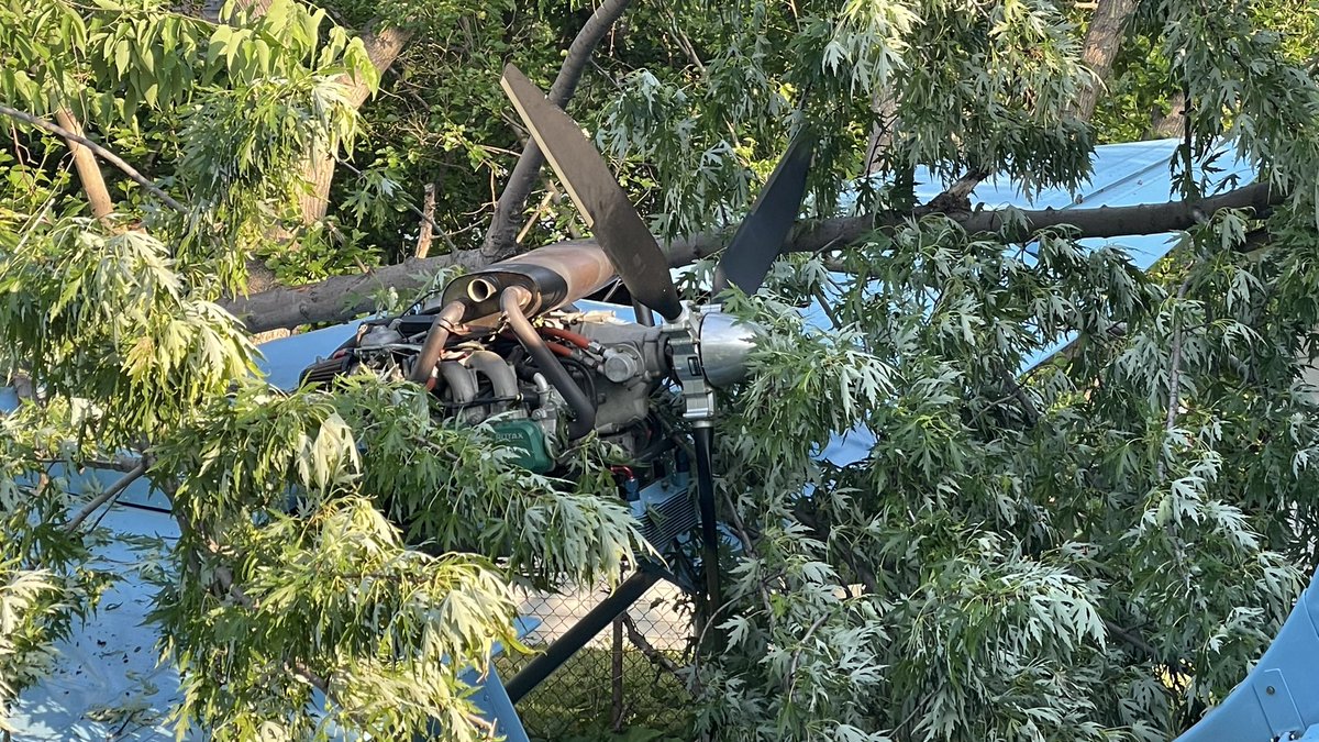 Nick Monacelli tweet media