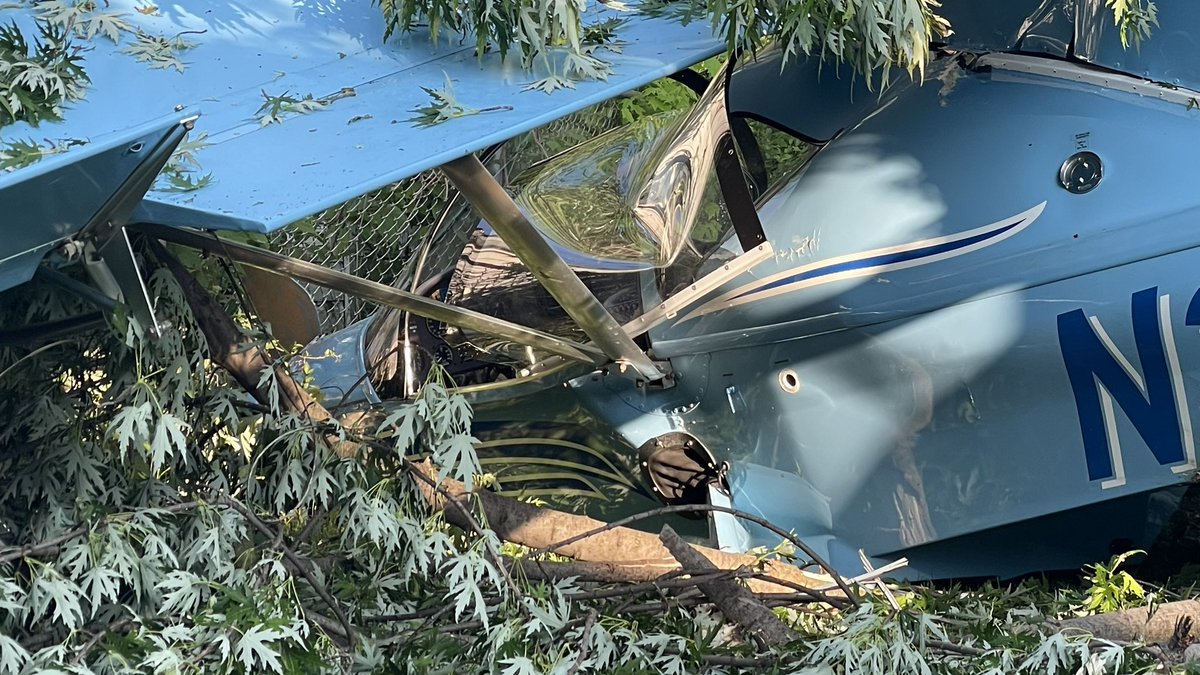 Nick Monacelli tweet media