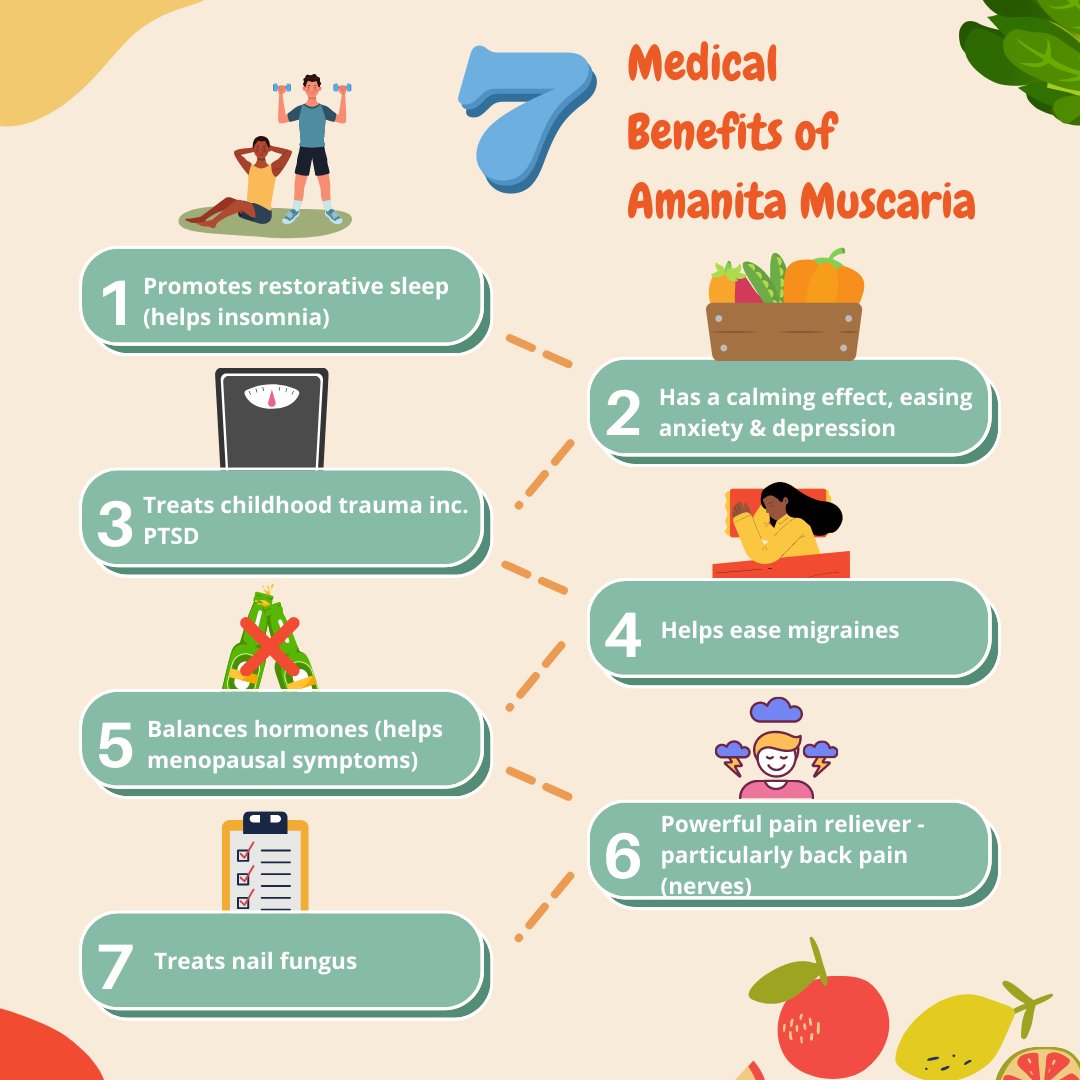 Medicinal properties of Amanita Muscaria:
⭐️ promotes restorative sleep (helps insomnia)
⭐️ has a calming effect, easing anxiety &depression
⭐️ treats childhood trauma inc. PTSD
⭐️ Helps ease migraines

#AmanitaMuscaria #PsychedelicMushrooms #MagicMushrooms #CultivationGuide