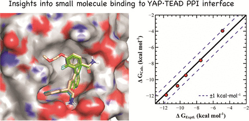 JCIM_JCTC's tweet photo. Leveraging Advanced In Silico Techniques in Early #DrugDiscovery: A Study of Potent Small-Molecule YAP-TEAD PPI Disruptors #drugdesign  
https://t.co/zgRZCSXb0v @ernest_chemist
Vol63 Issue8 #JCIM #Pharmaceutical_Modeling https://t.co/OL8pvpmZim