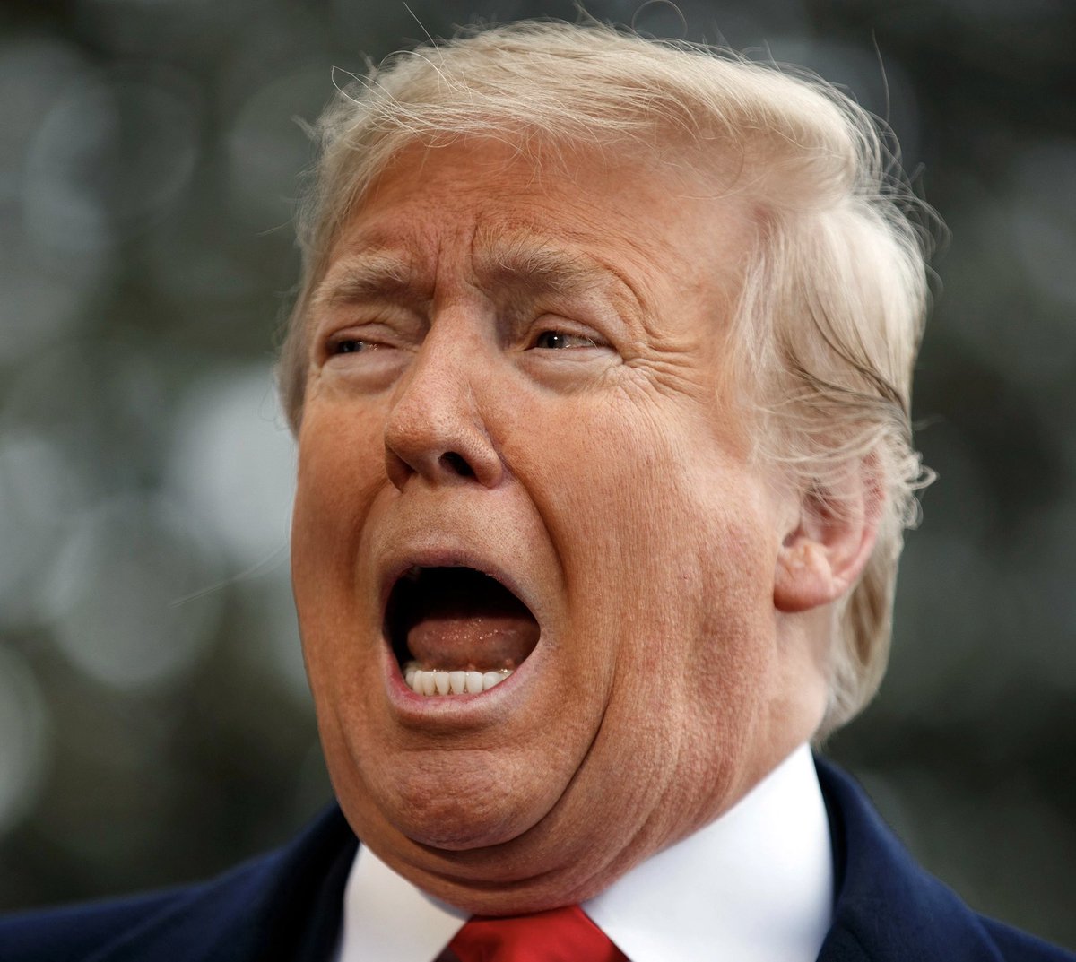 Occupy Democrats tweet media