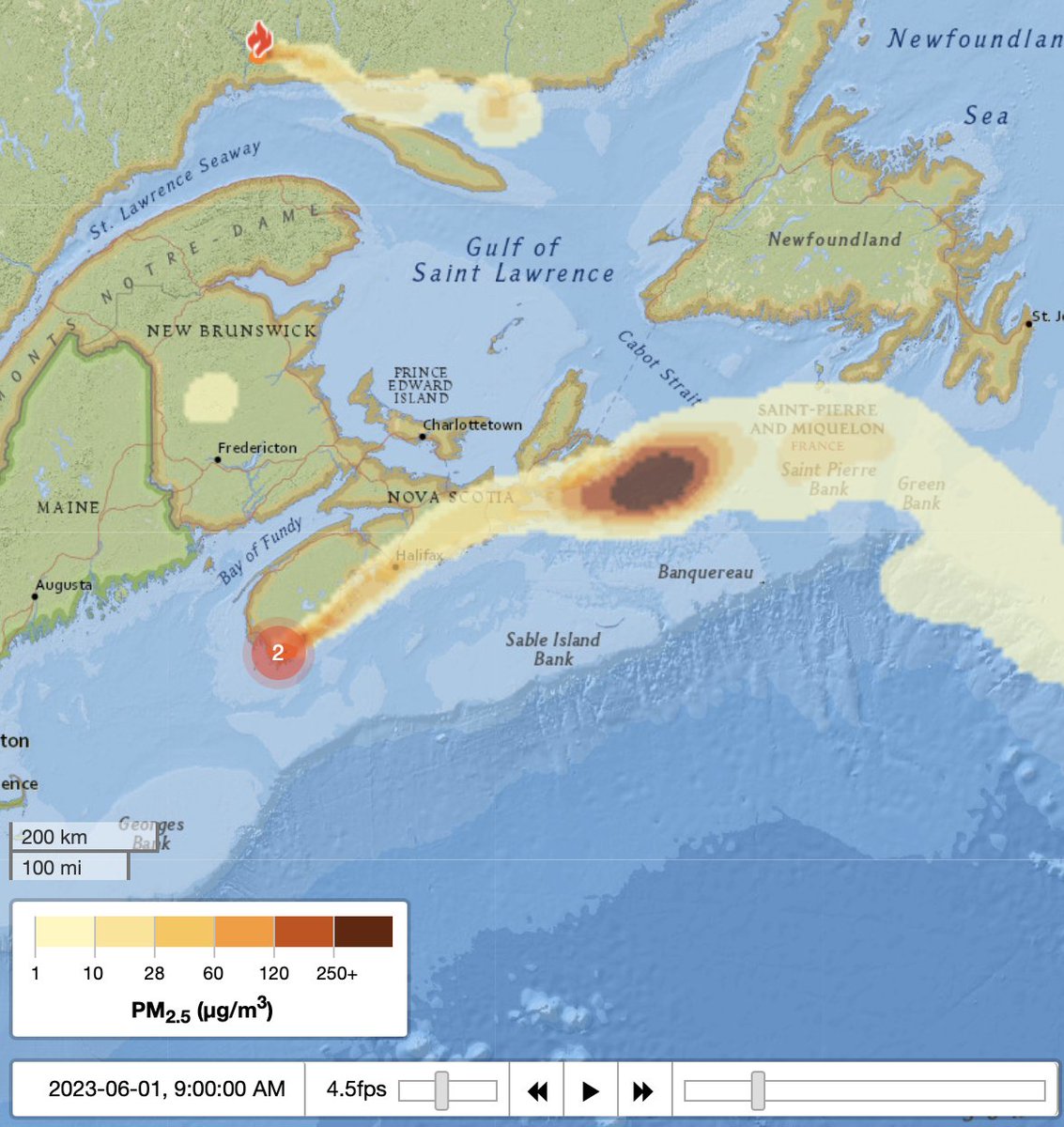 Christina Lamey tweet media