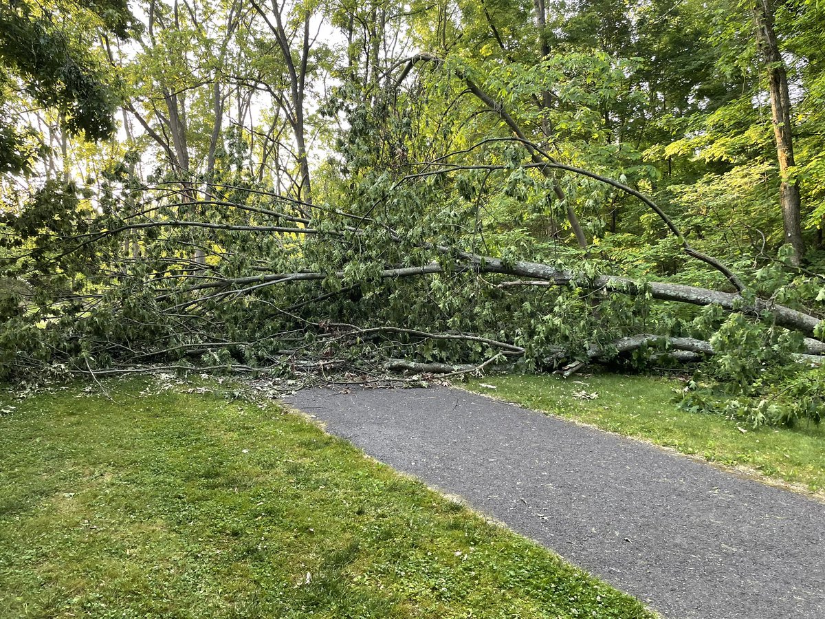 noodoze's tweet photo. @ChalfontBoro large tree down over Lenape Landing trail behind Unami Middle School. https://t.co/UJ27qtNIPD