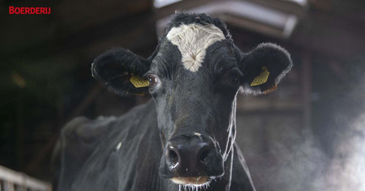 Word abonnee van de gratis nieuwsbrief van #Boerderij. Elke dag onafhankelijk nieuws over #landbouw #akkerbouw #veehouderij. boerderij.nl/nieuwsbrieven