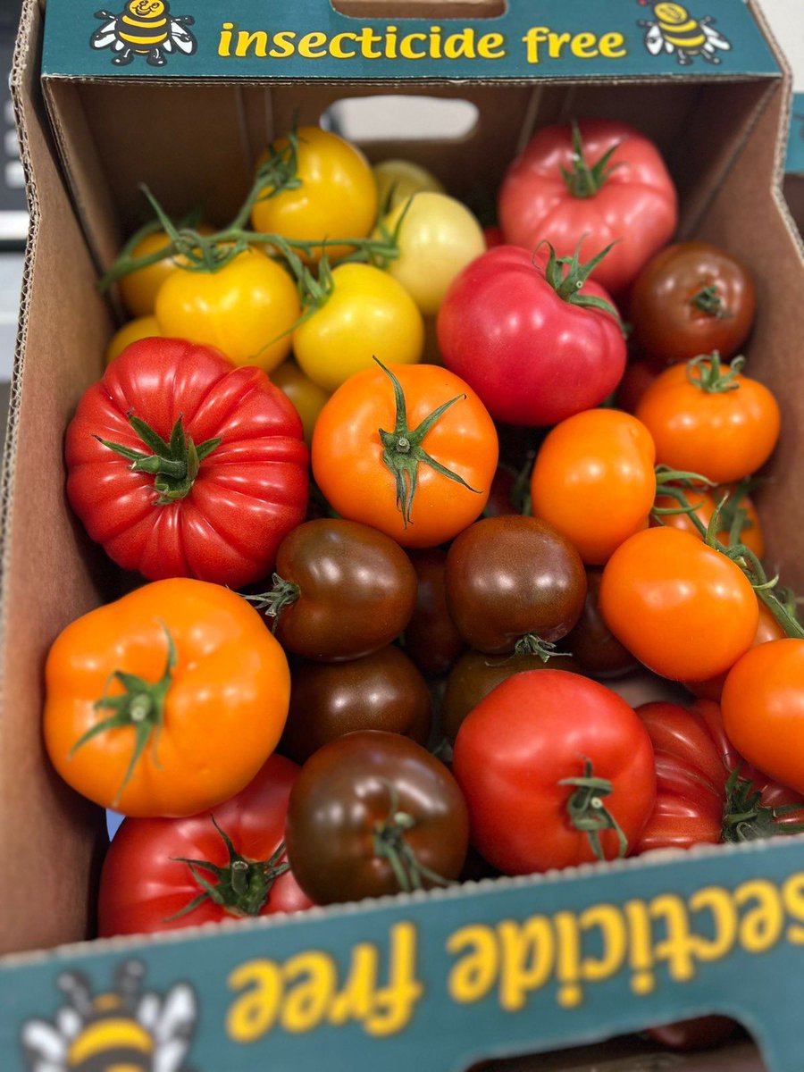 Great to be working with these guys again <a href="/NutbourneTomato/">Nutbourne Nursery</a> 
#goodtimes