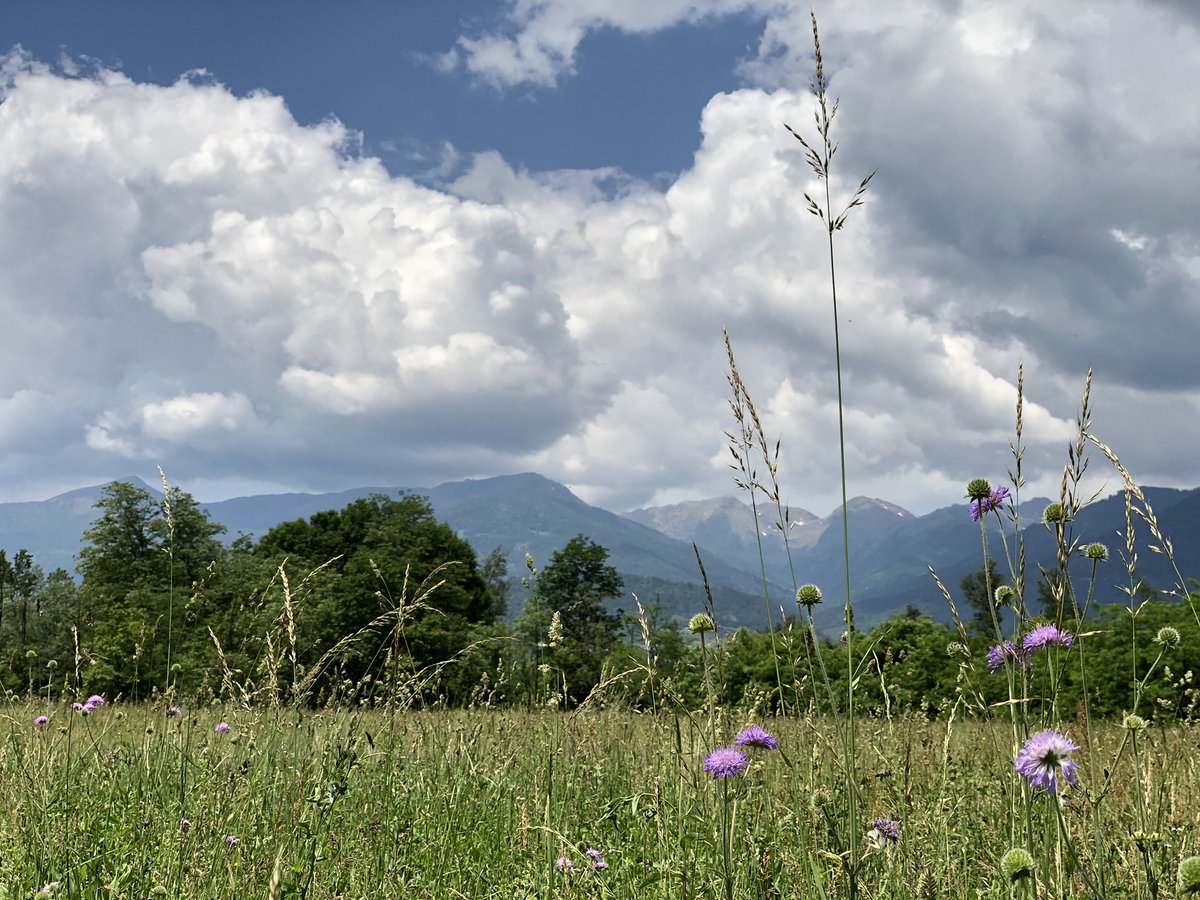 Primavera in Valsugana