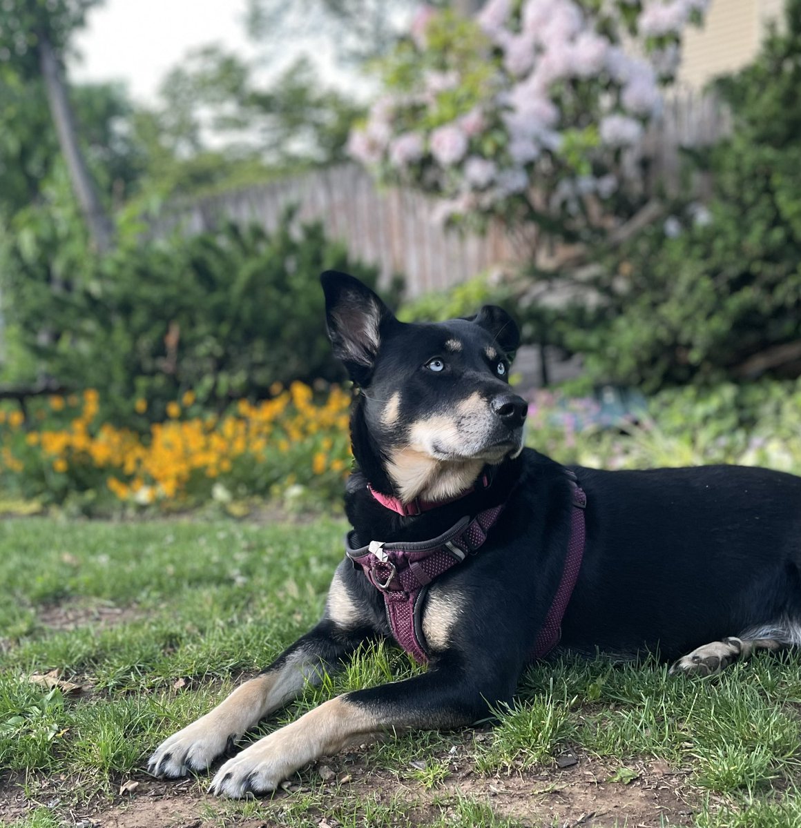 Kitty the DJ tweet media