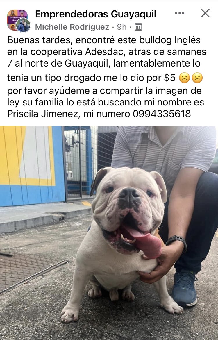 A alguien se le perdió o le robaron su perrito. Afortunadamente una persona honrada lo rescató del adicto que lo tenía, comprándoselo y ahora busca devolverlo a sus dueños. Esto fue ayer mayo 31 #Guayaquil @AlertaMePerdi